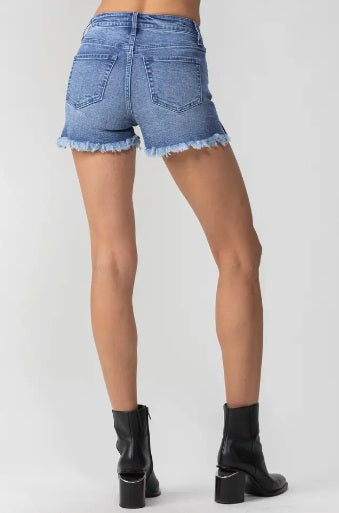 High Ride Denim Shorts